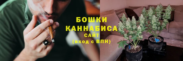 PSILOCYBIN Белоозёрский