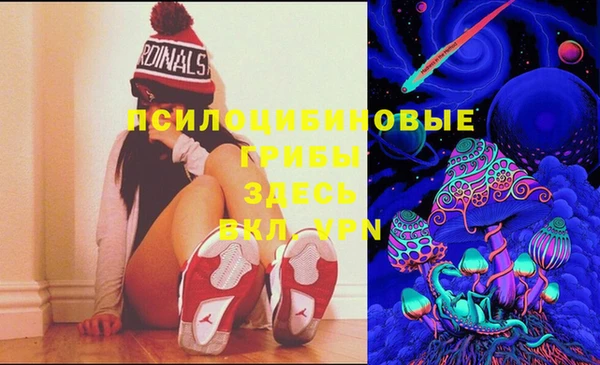 эйфоретик Чердынь